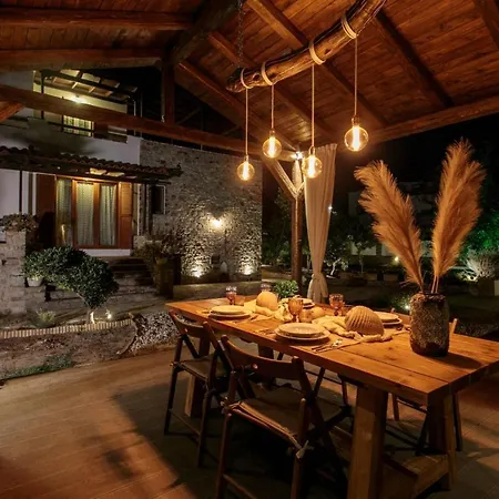 Villa Naxos Chora 