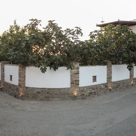 Villa Naxos Chora 