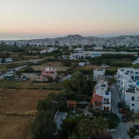 Villa Naxos Chora 